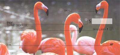 Elegant Flamingos
