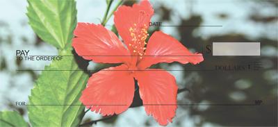 Red Hibiscus