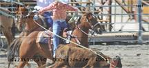 Rodeo Roping