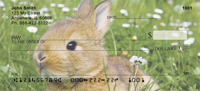 Cute Bunny