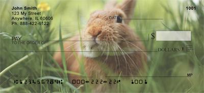 Cute Bunny