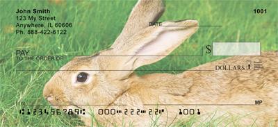 Cute Bunny