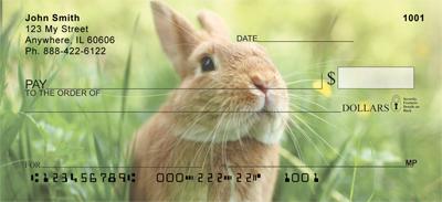 Cute Bunny