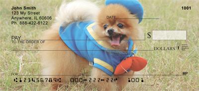 Proud Pomeranians