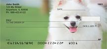 White Pomeranians