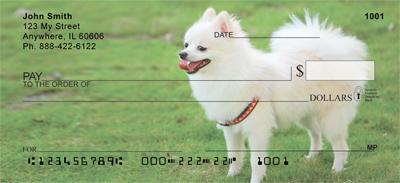 White Pomeranians