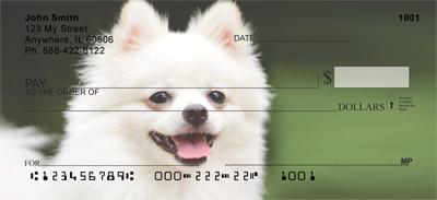 White Pomeranians