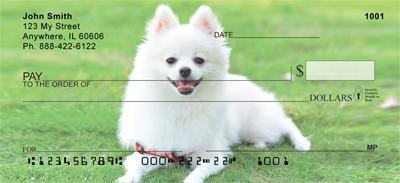 White Pomeranians