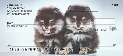 Pom Puppies