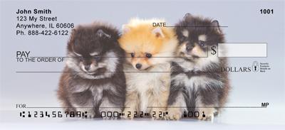 Pom Puppies
