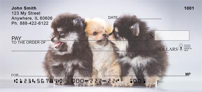 Pom Puppies