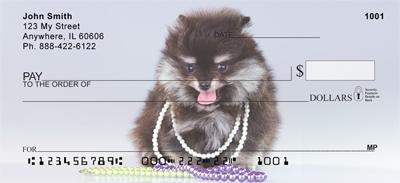 Pom Puppies