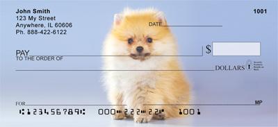 Cute Pomeranian