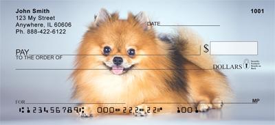 Cute Pomeranian