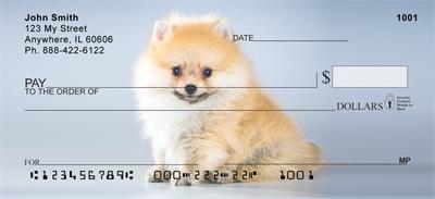 Cute Pomeranian
