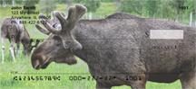 Swedish Moose