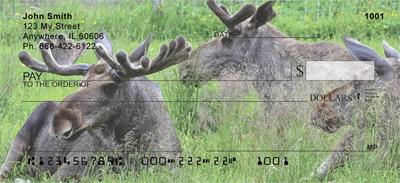 Swedish Moose