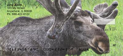 Swedish Moose