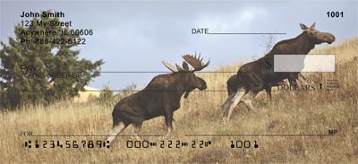Moose Couples