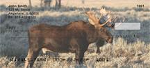 Bull Moose