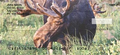 Bull Moose