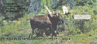 Bull Moose