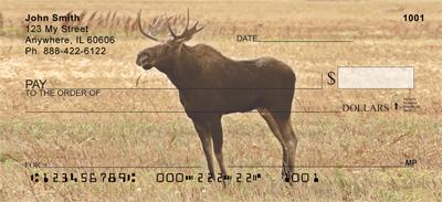 Bull Moose