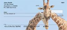 Giraffe Couples