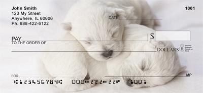 Westie Puppies