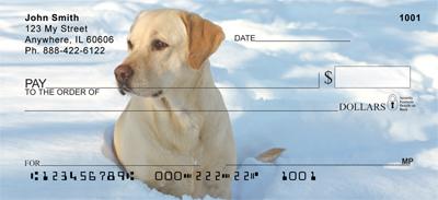 Yellow Labs In The Snow