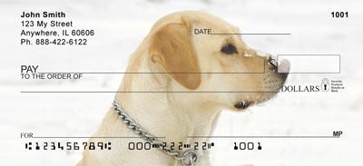 Yellow Labs In The Snow