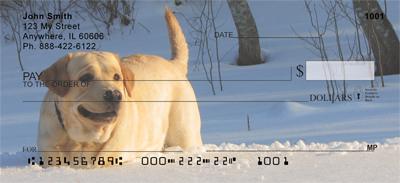 Yellow Labs In The Snow