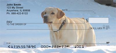 Yellow Labs In The Snow