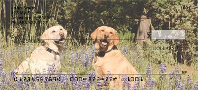 Yellow Labs Outdoors