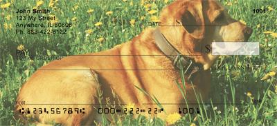 Yellow Labs Outdoors