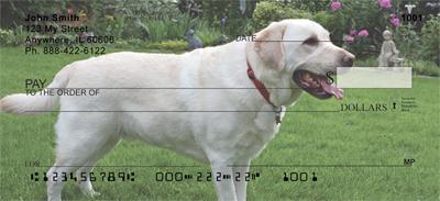 Playful Yellow Labs