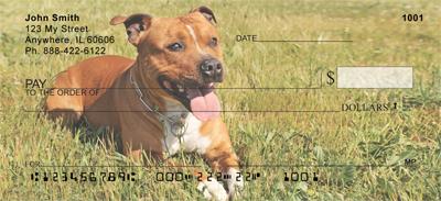 Pitbulls In The Park