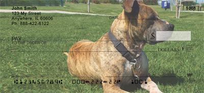 Pitbulls In The Park