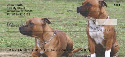 Pitbulls In The Park