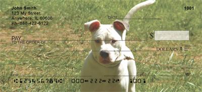 Pitbulls In The Park