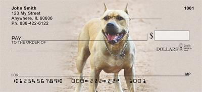 Pitbull Guard Dogs