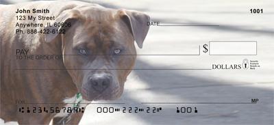 Pitbull Guard Dogs