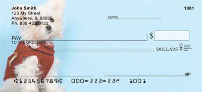 Cute Maltese