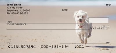 Active Maltese