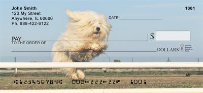 Active Maltese