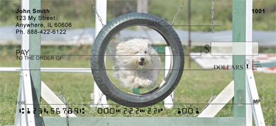 Active Maltese