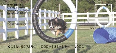 Agile Australian Shepherds