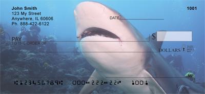 Reef Sharks
