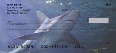 Reef Sharks