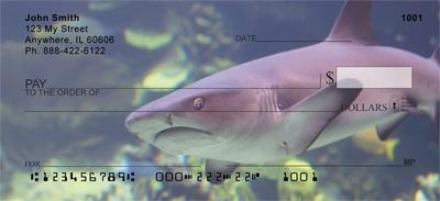 Reef Sharks